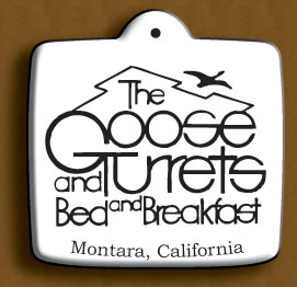 The goose and turrets, bed and breakfast ornament 